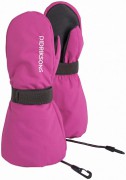Didriksons  504159 BIGGLES (395) -